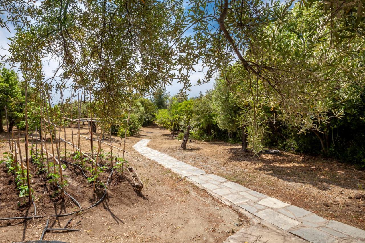 Hidden Gem Sithonia Βίλα Metochi Agias Kiriakis Εξωτερικό φωτογραφία