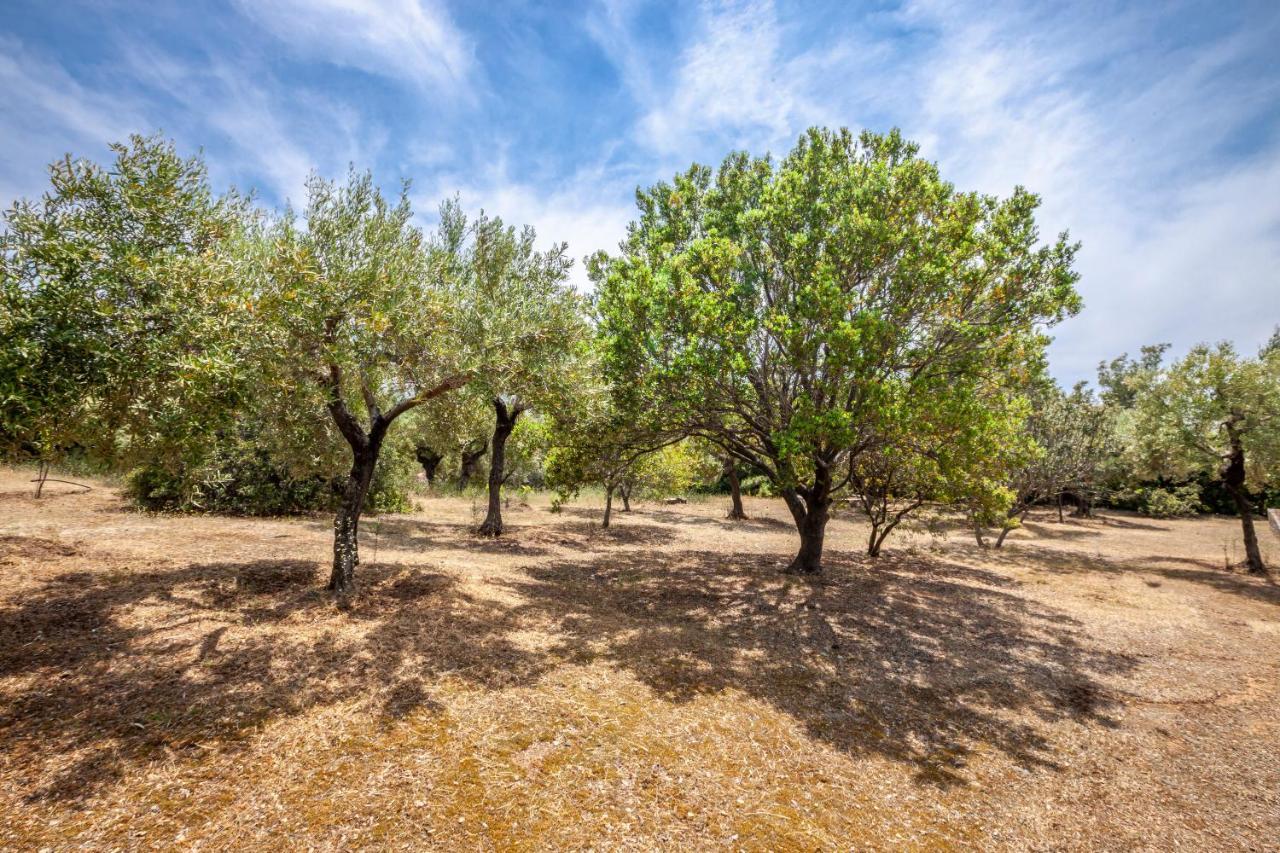 Hidden Gem Sithonia Βίλα Metochi Agias Kiriakis Εξωτερικό φωτογραφία