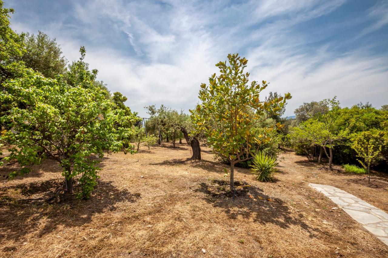 Hidden Gem Sithonia Βίλα Metochi Agias Kiriakis Εξωτερικό φωτογραφία